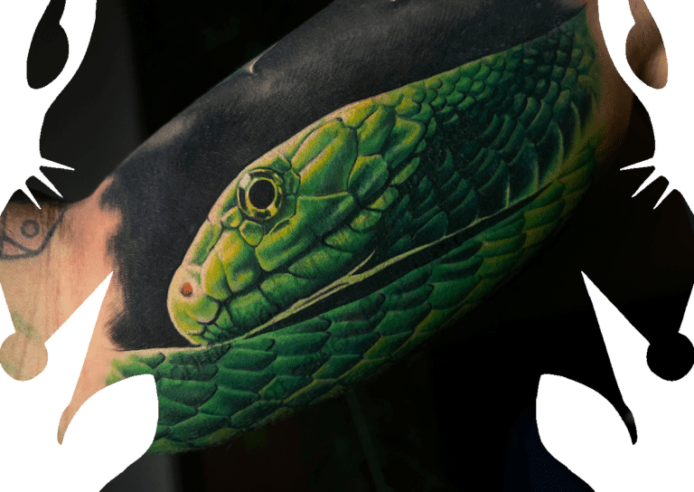 green snake cover up tattoo