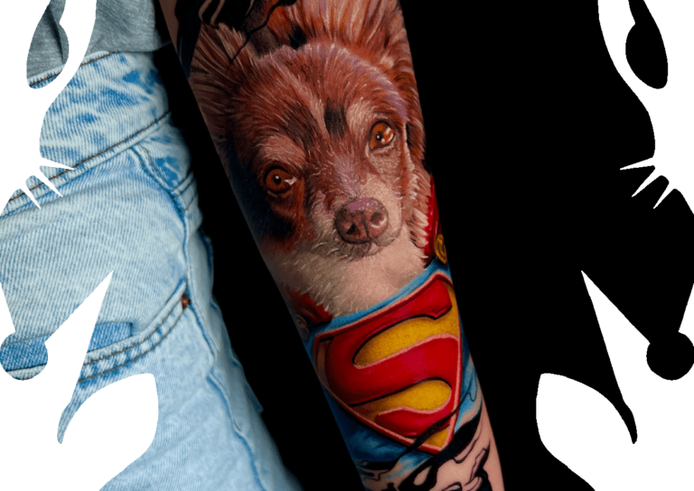 superman hund