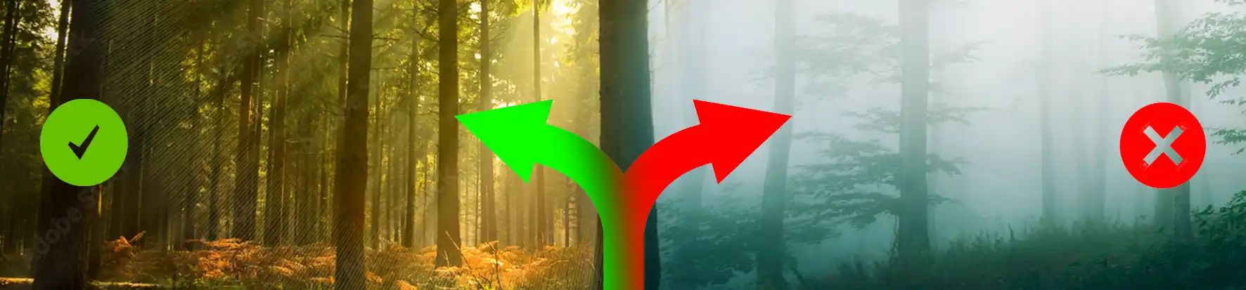 Hochwertige Tattoos – Warum ist dein Tattoo nicht so wichtig wie deine Haare oder Nägel?